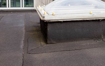 disadvantages of Capel Parc flat roofs
