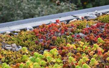 the cost of Capel Parc green roof installation