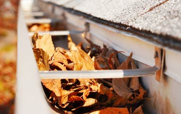 Capel Parc gutter cleaning companies