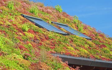 Capel Parc living roof systems