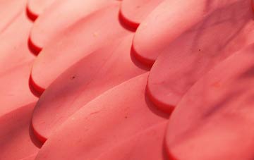 Capel Parc plastic roof costs