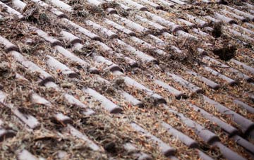 Capel Parc roof cleaning companies