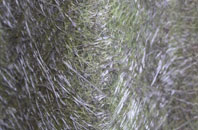 Capel Parc fibreglass roof work